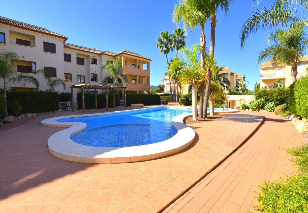 Apartamento en Javea / Xàbia - Piso en Javea 6p clima mascotas permitidas piscina playa a 300m