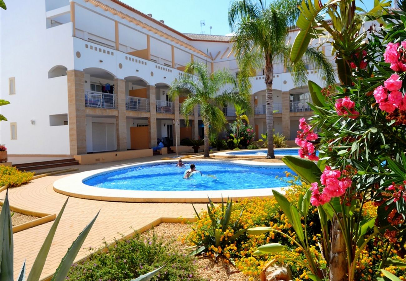 Apartamento en Javea / Xàbia - Apartamento en Javea 6 personas piscina playa a 300 m