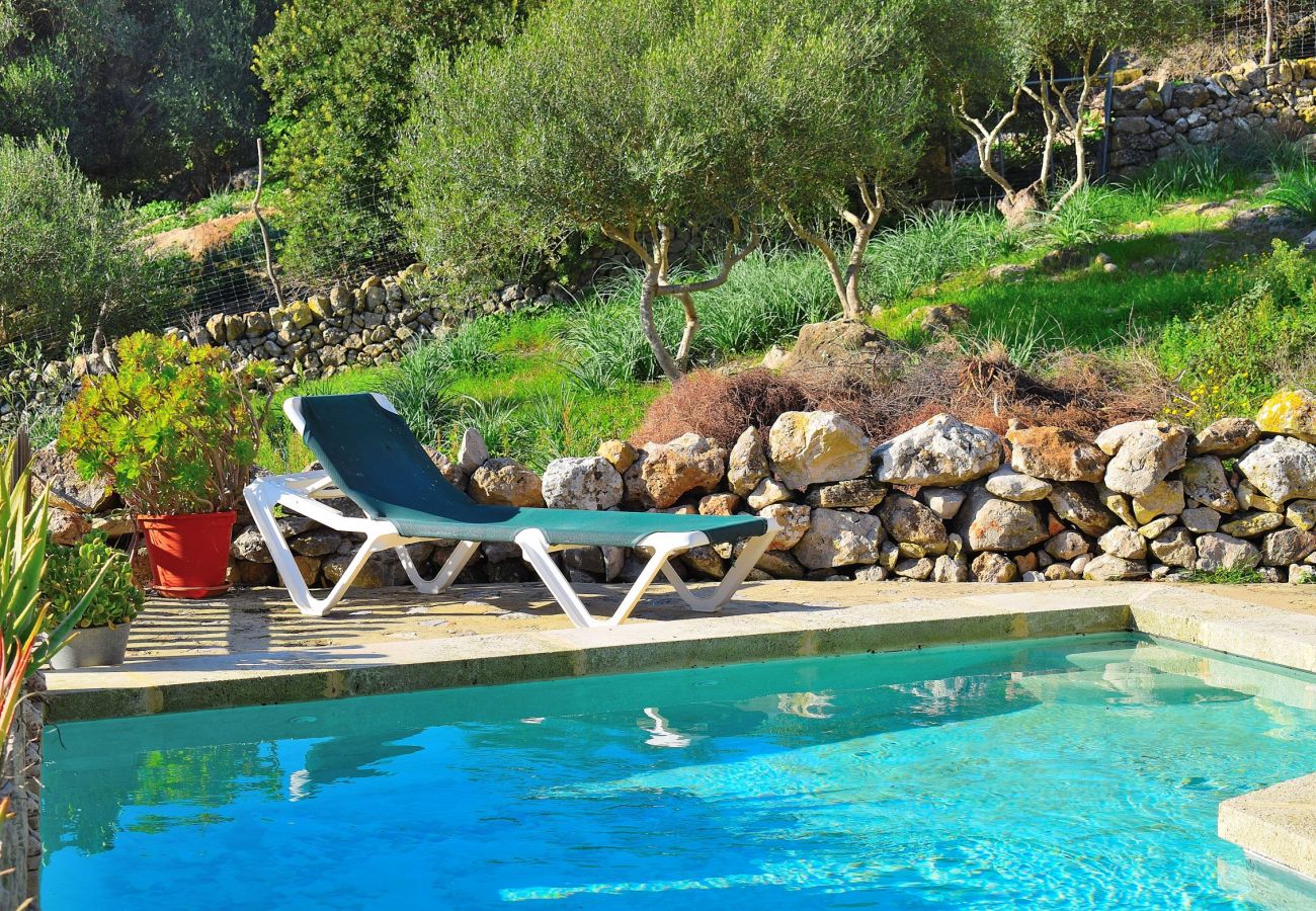 Preciosa foto de la piscina de la villa en Alcudia