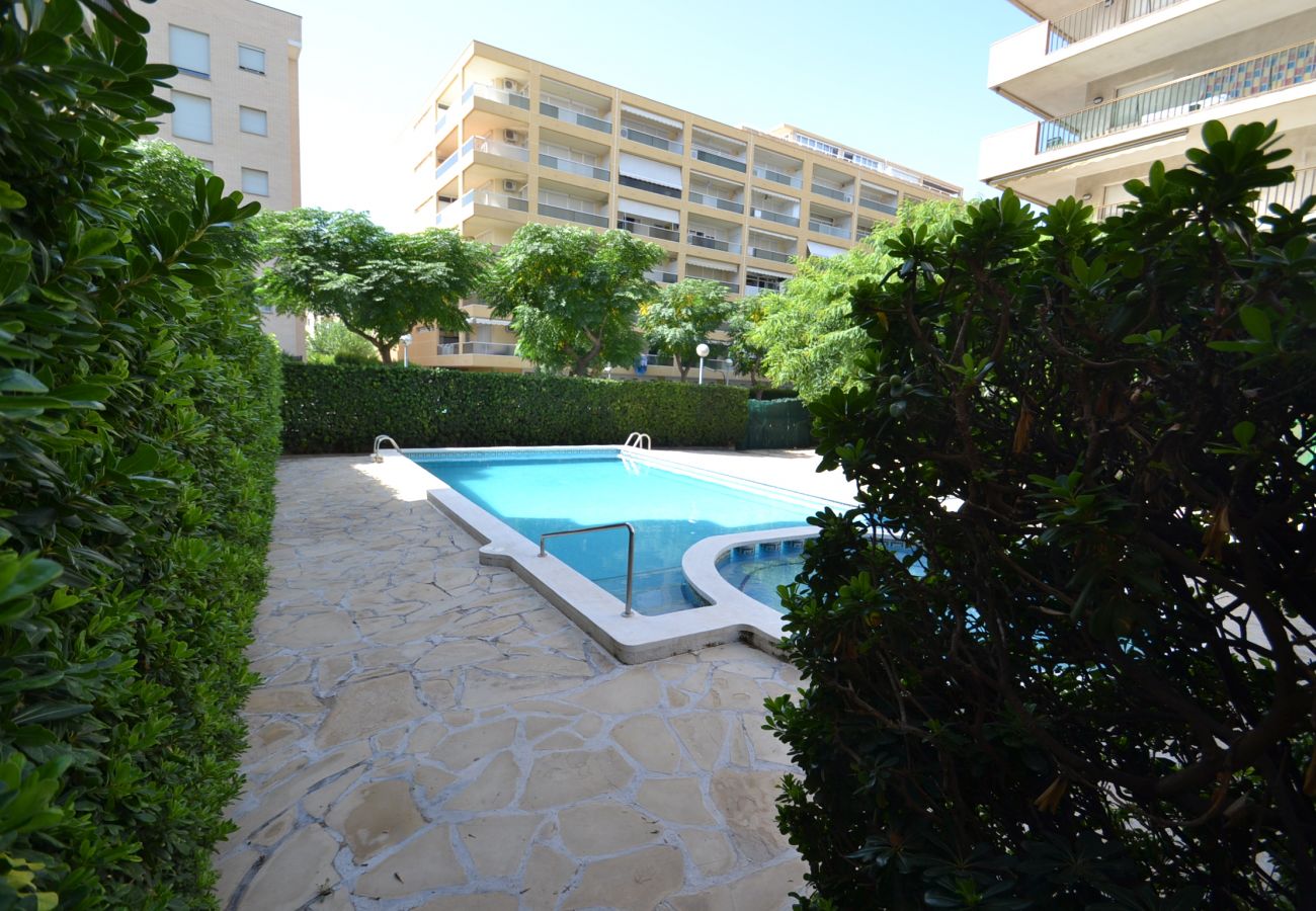 Apartment in La Pineda - Cinco Villas:Terrace-300m from La Pineda's beach & center-Pools