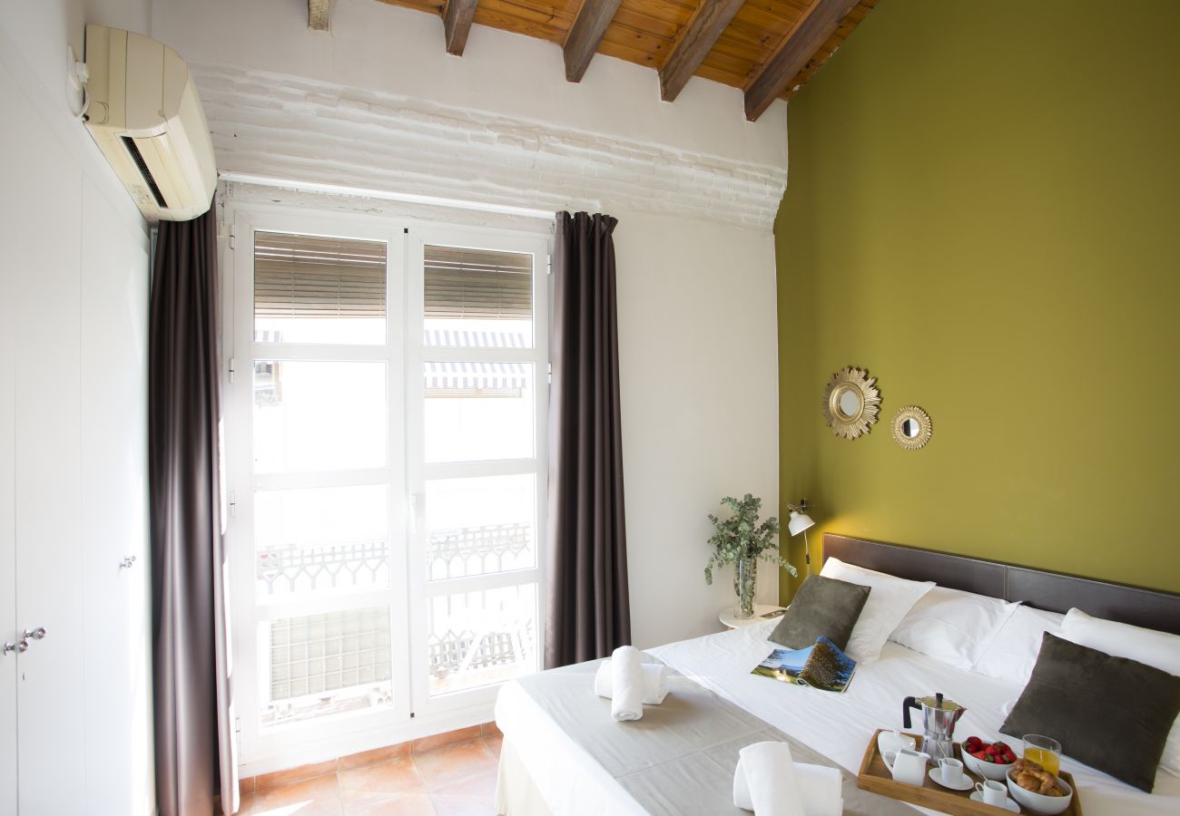 Apartment in Valencia / València - Botanico 302