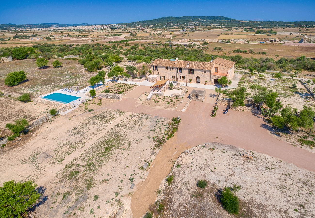 Villa with pool for holidays Vilafranca Majorca