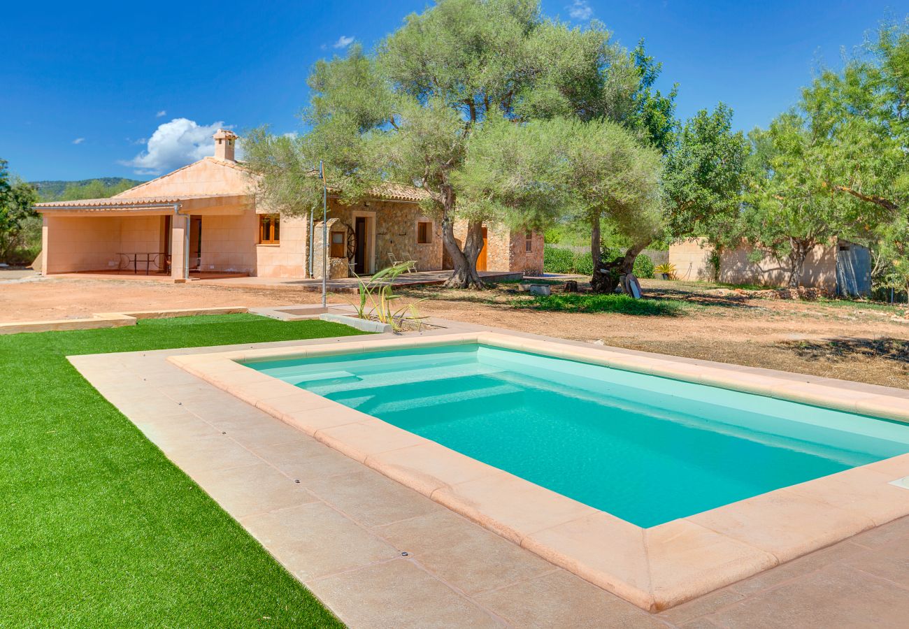Villa Calvia and its swimming pool