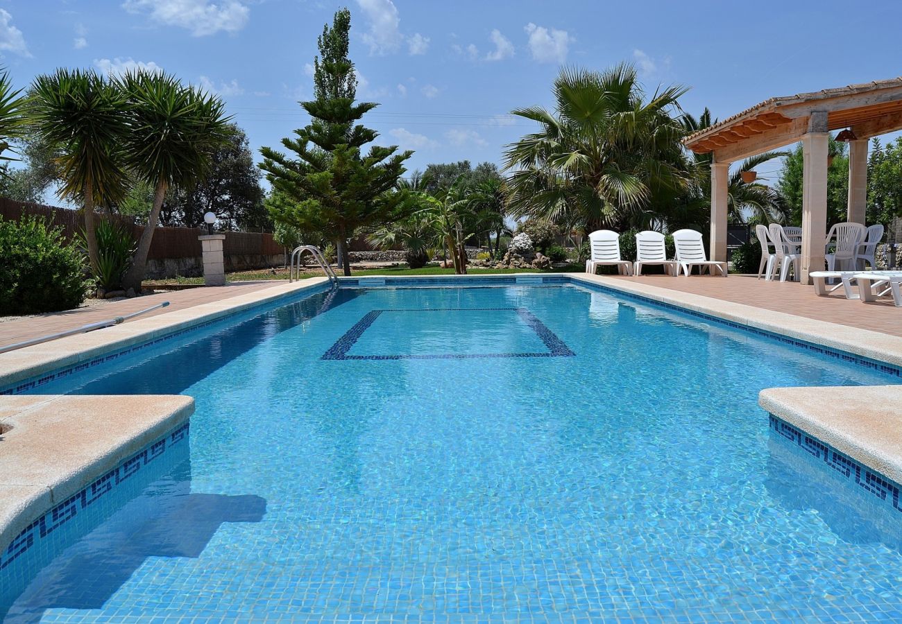 The villa in Inca-Mallorca has a pool for 6 people