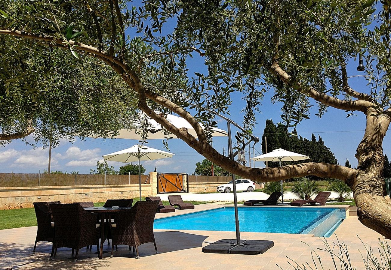 Country house in Muro - Vinagrella 158 magnificent finca with private pool, large garden, air conditioning and barbecue