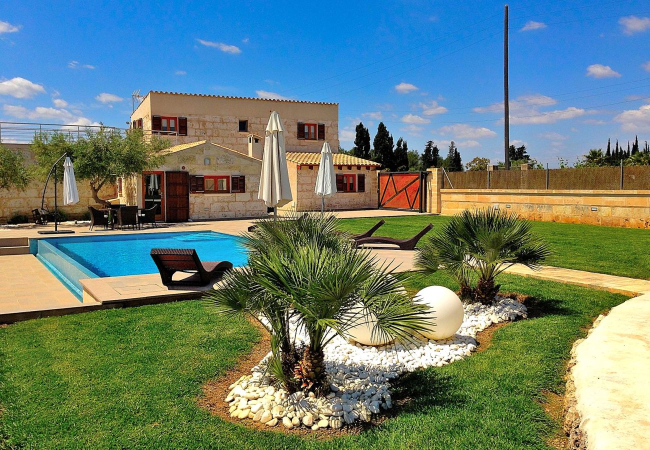 House with beautiful garden and swimming pool 