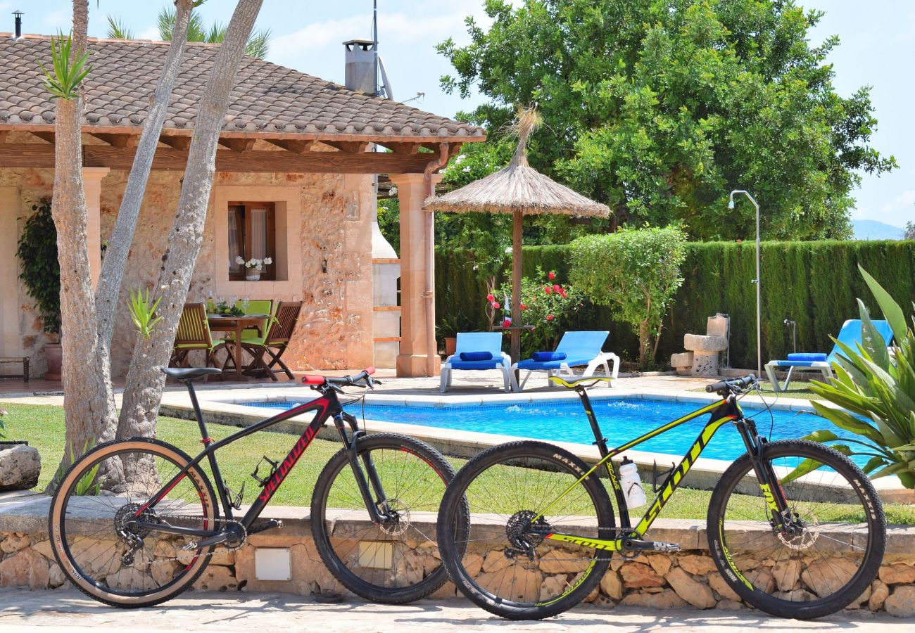 Finca with swimming pool and nature perfect for summer