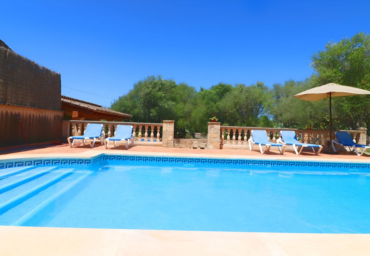 Large swimming pool, garden, terrace, Finca