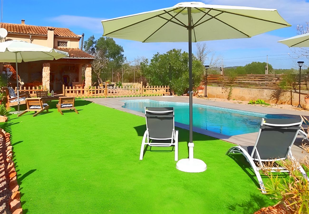 Swimming pool, terrace, sun, holidays, Mallorca