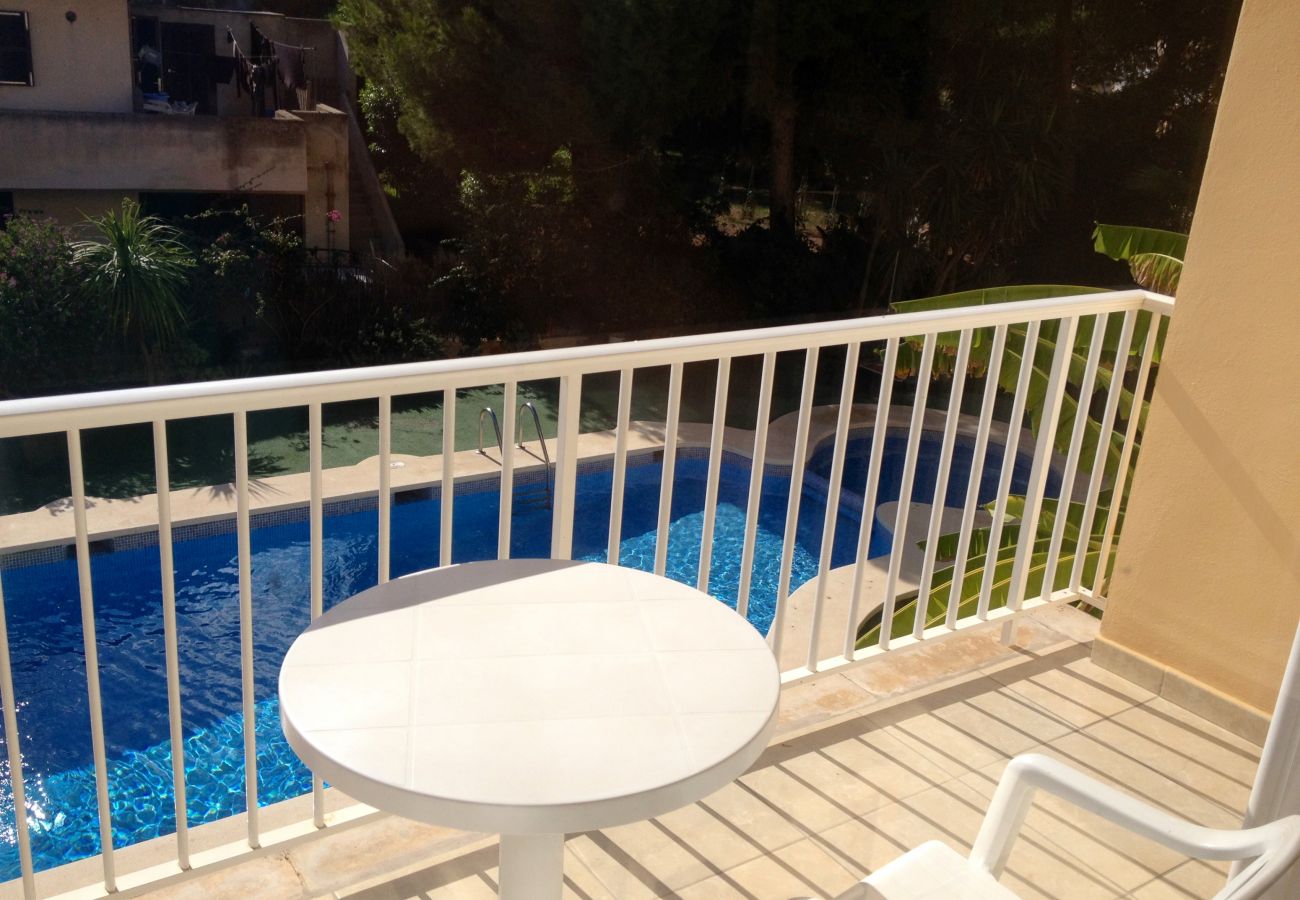 Swimming pool, holidays, terrace, garden, Majorca
