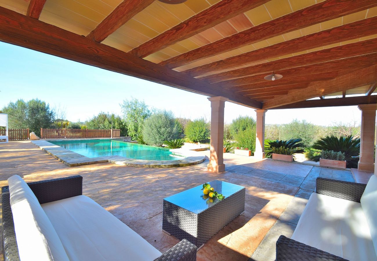 View of the terrace and swimming pool of the villa in sineu