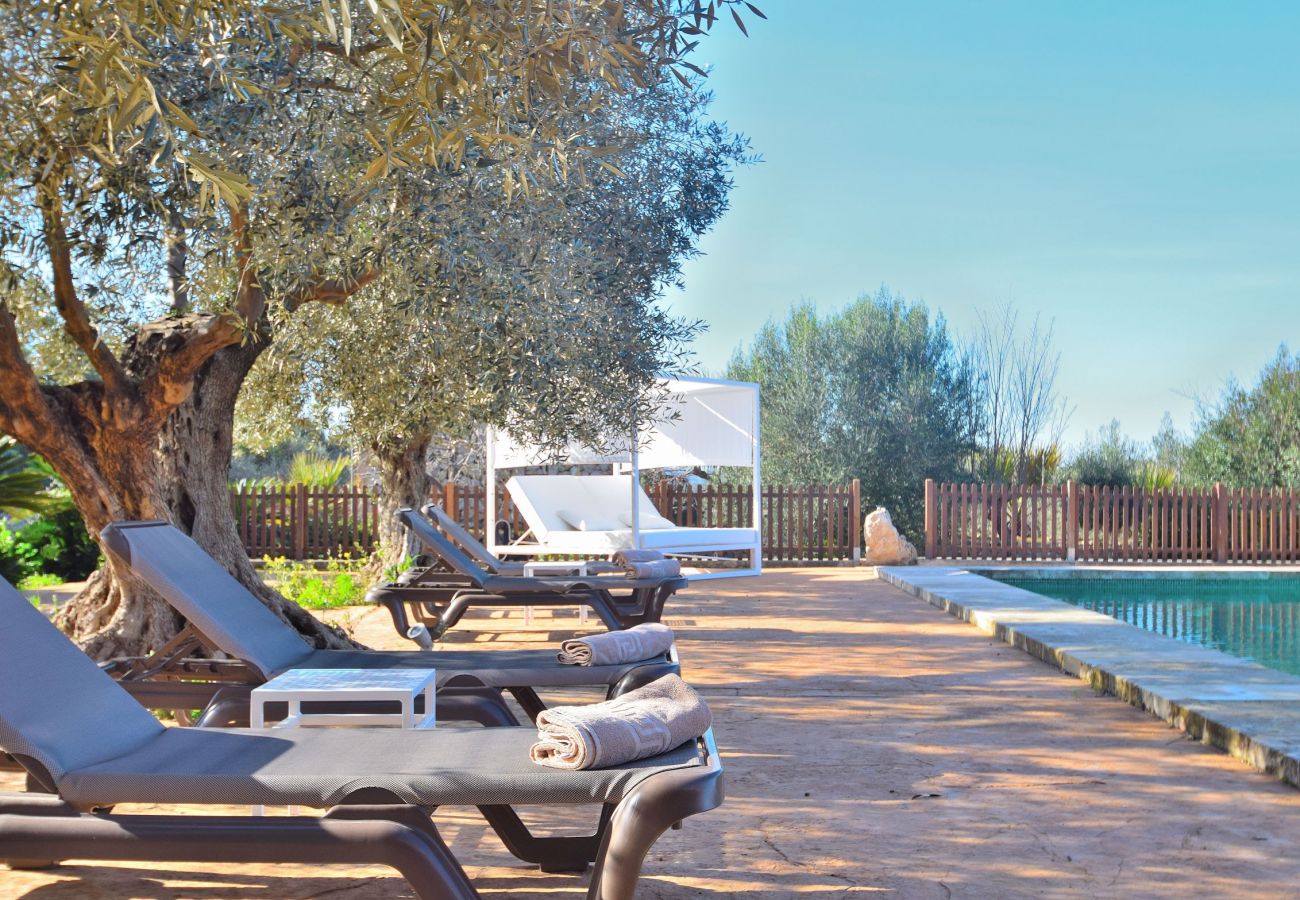 Picture of the swimming pool area of the villa in Sineu