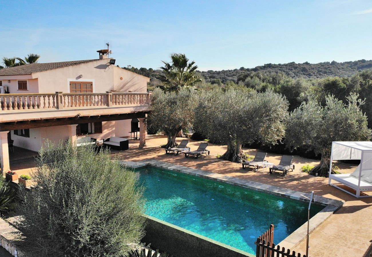 Beautiful photo of the villa with pool in Sineu