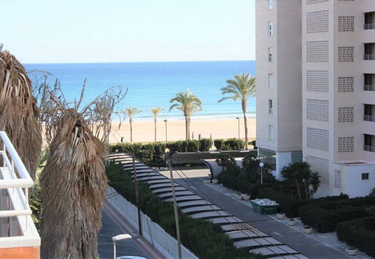 Apartment in El Campello - Charming Penthouse San Juan Beach