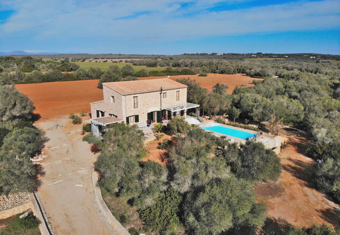 Villa in Ses Salines - Modern country house in the South of Mallorca 168