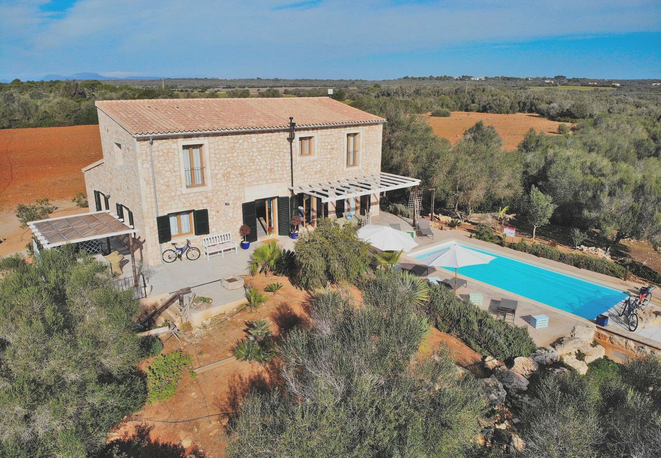 Villa in Ses Salines - Modern country house in the South of Mallorca 168