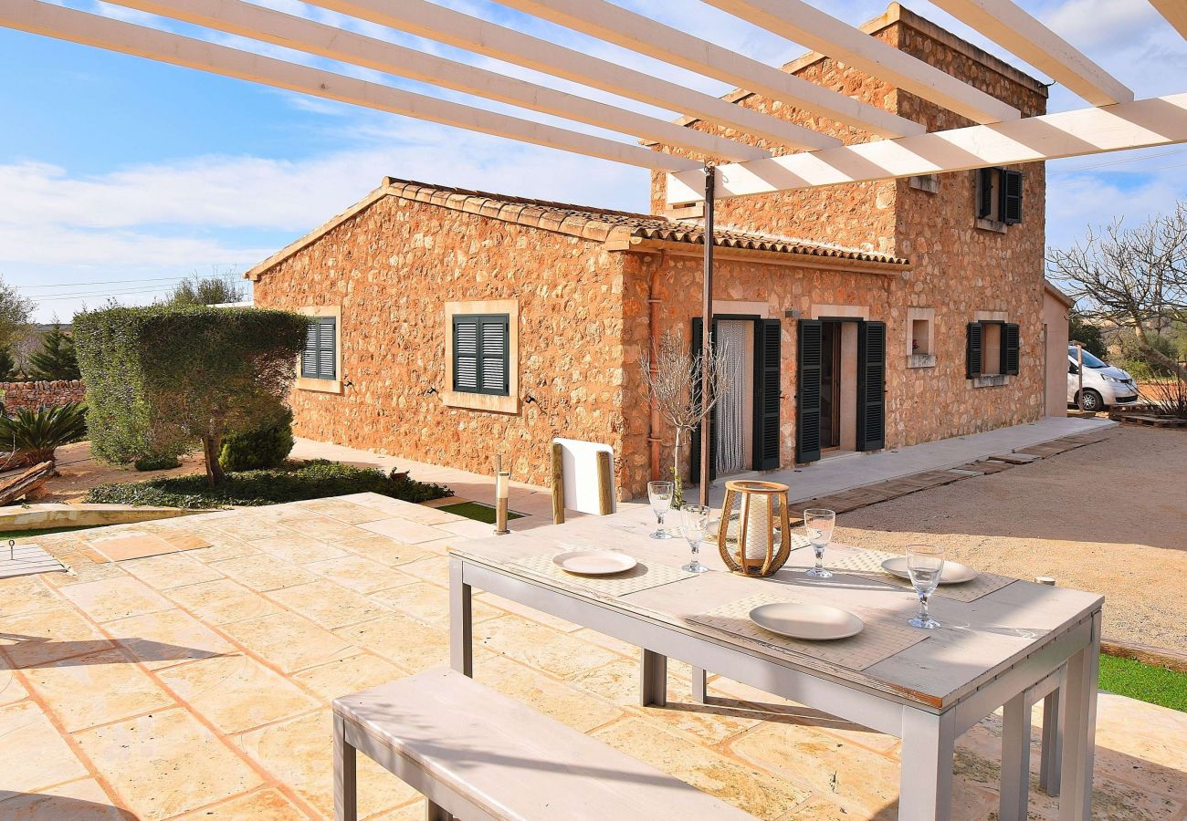 Villa in Ses Salines - Modern country house in the South of Mallorca Ses Salines 169