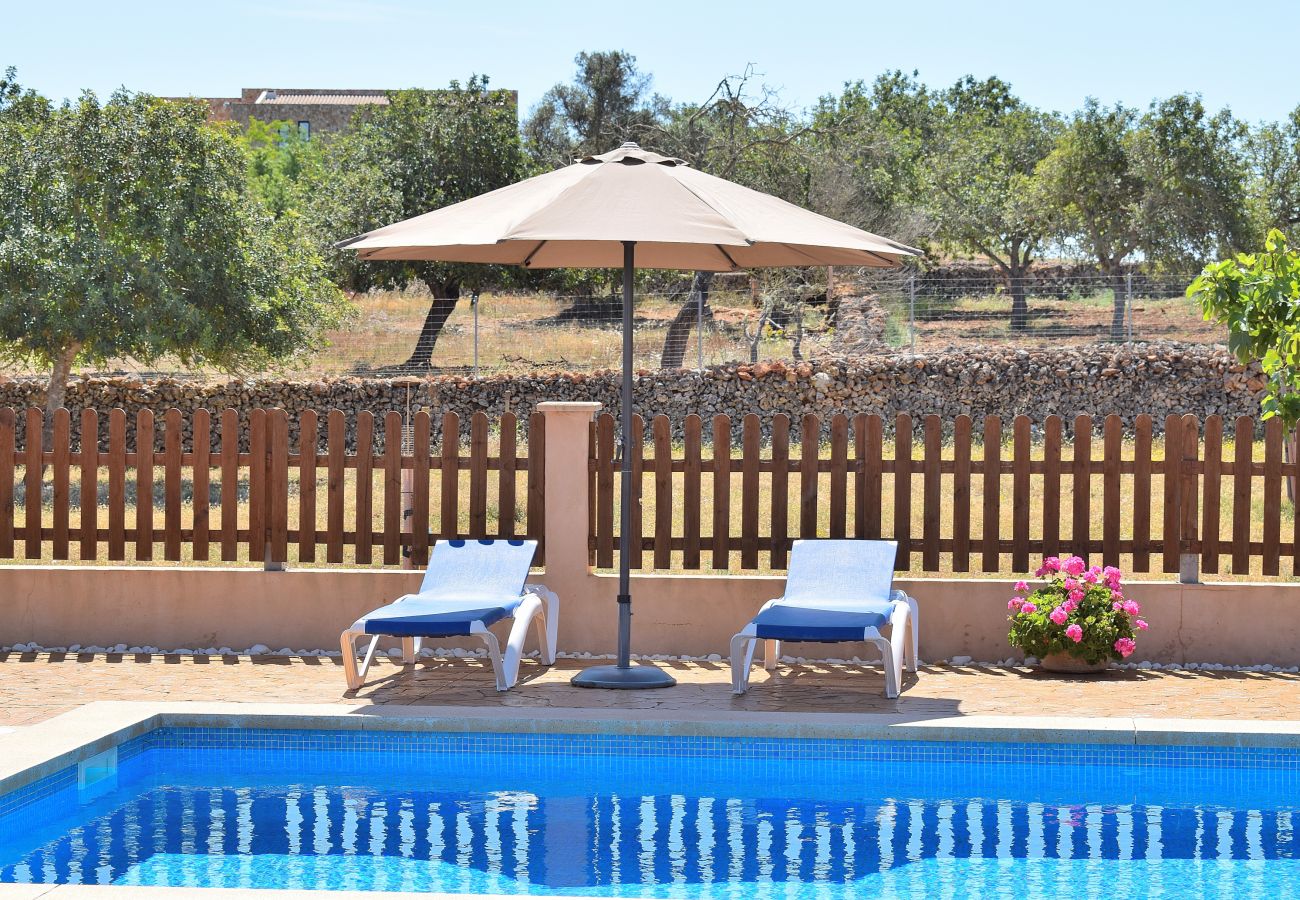 Country house in Santa Margalida - Finca with pool ideal for holidays in Mallorca 034