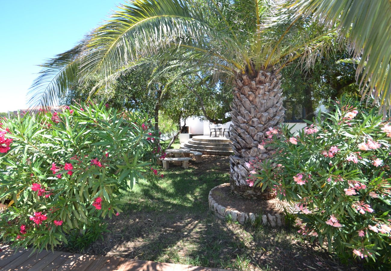 Villa in Miami Playa - VILLA GAIA: Large private pool and garden, barbecue, wifi