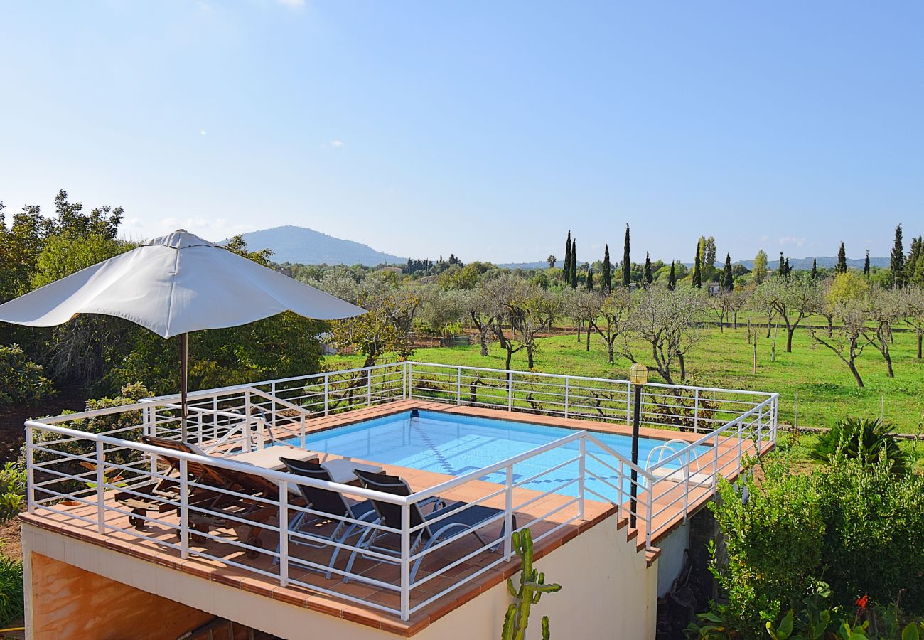 Country house in Campanet - Finca with all amenities near the village of Campanat 198