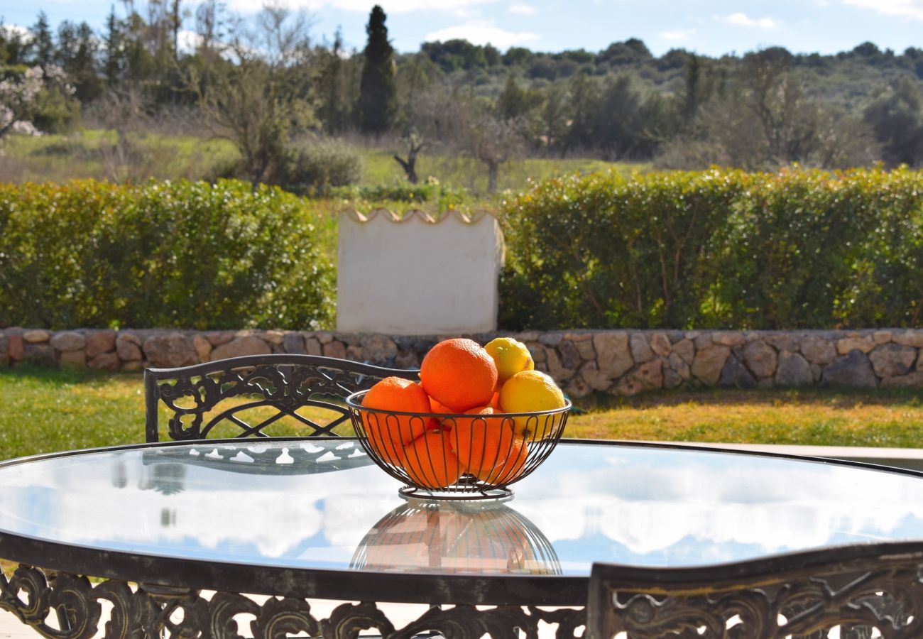 Country house in Sineu - Son Alcaines Petit 249 cosy finca with private pool, terrace, barbecue and WiFi