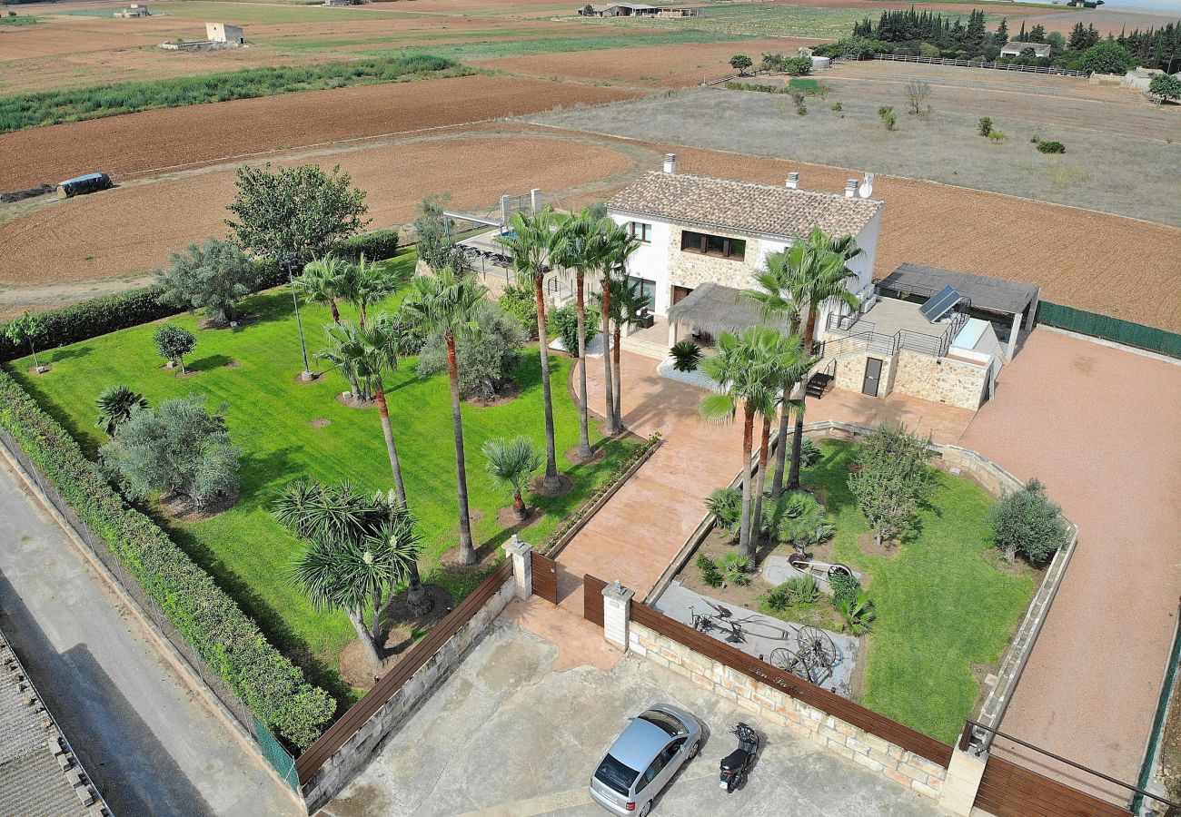 Domaine à Muro - Son Sastre 024 villa luxueuse avec grande piscine, climatisation, jardin et terrasse