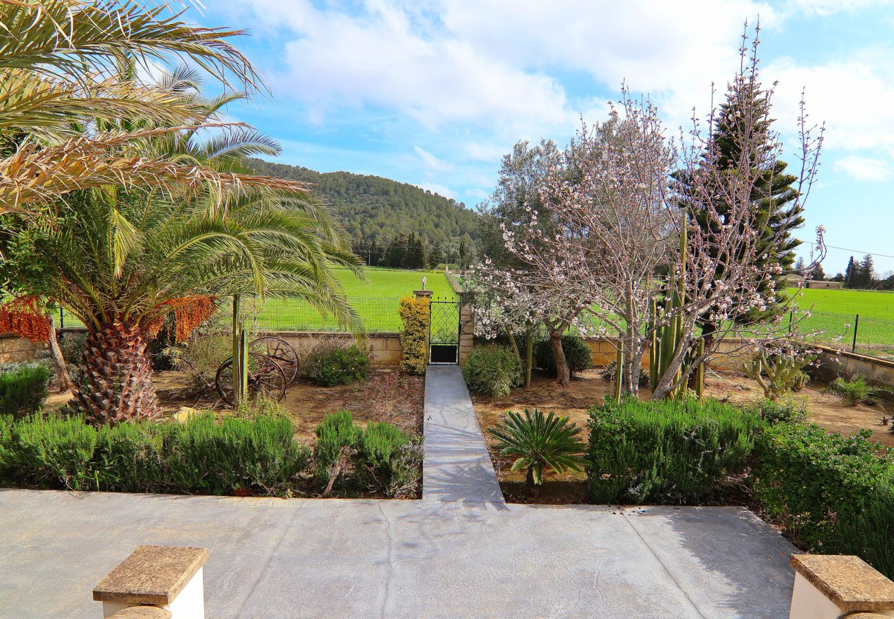 Domaine à Sa Pobla - Villa Can Mussol 040 by Mallorca Charme