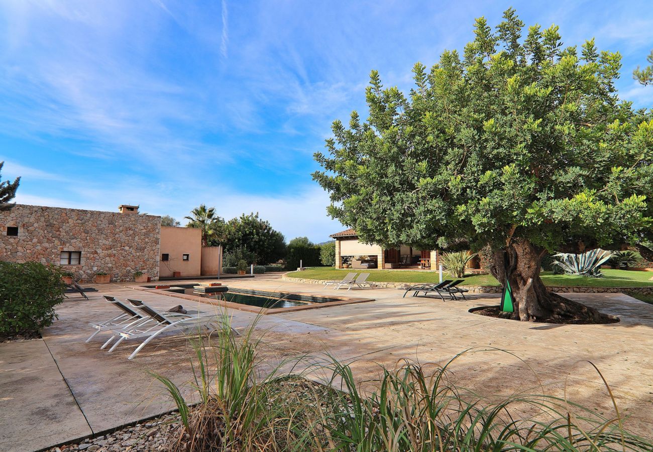 Domaine à Binissalem - Es Triquet 151 villa confortable avec piscine privée, terrasse, barbecue et WiFi