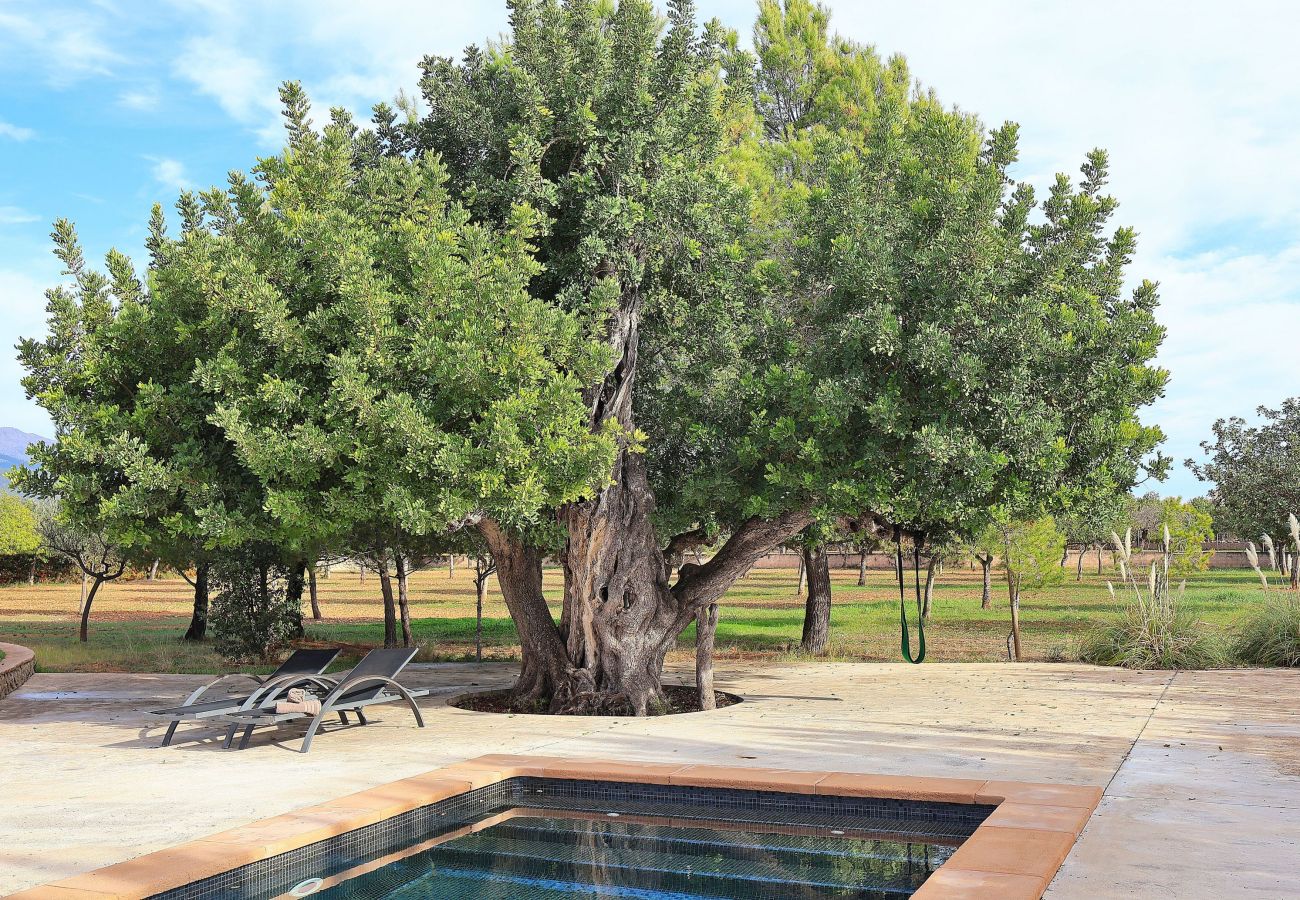 Domaine à Binissalem - Es Triquet 151 villa confortable avec piscine privée, terrasse, barbecue et WiFi