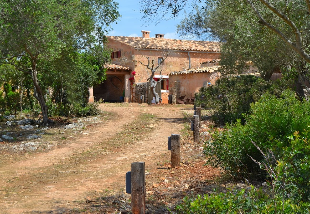 Gîte Rural à Llubi - Finca Can Cortana 005 by Mallorca Charme