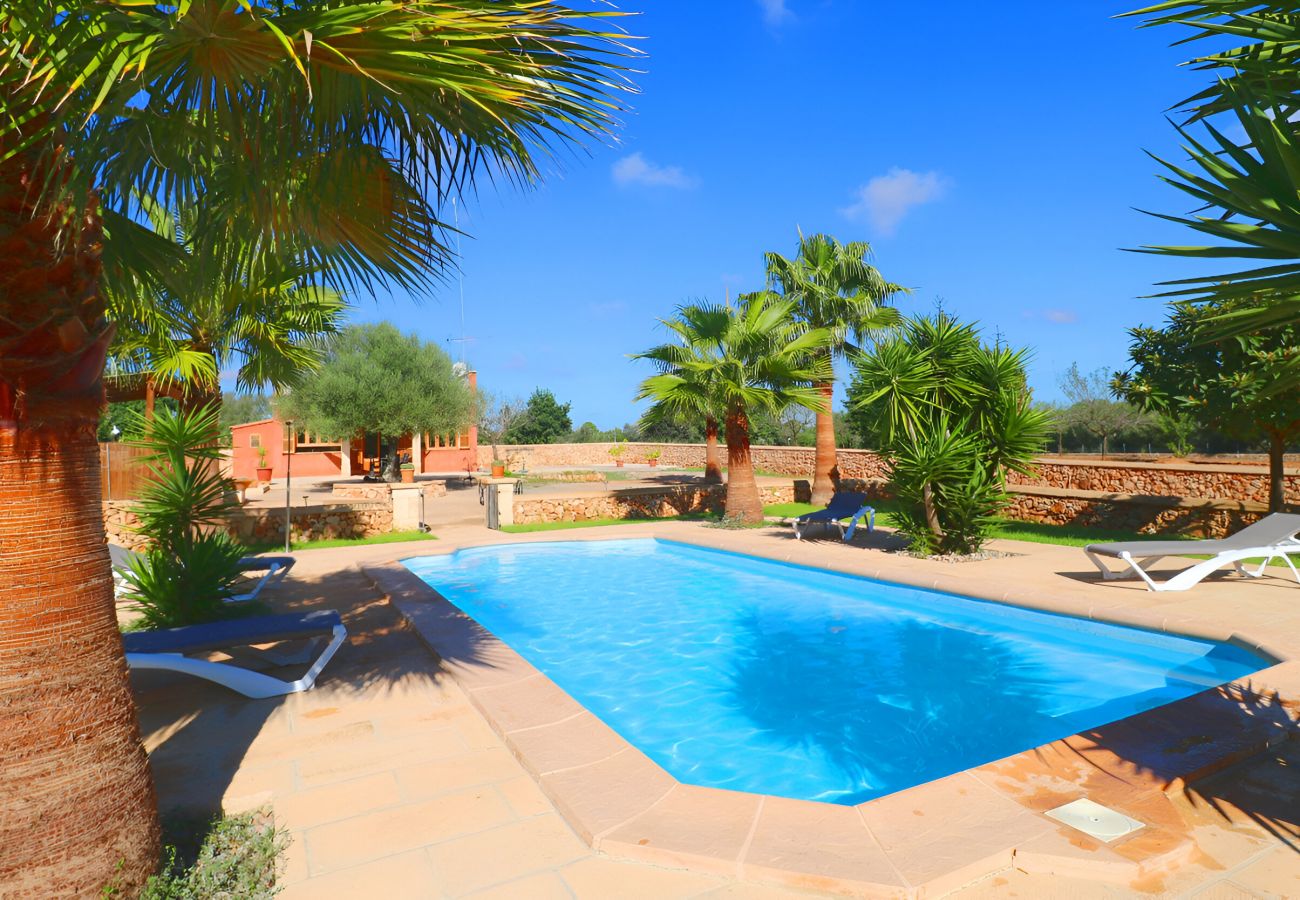 Finca avec grande piscine et jardin, nature, Majorque.