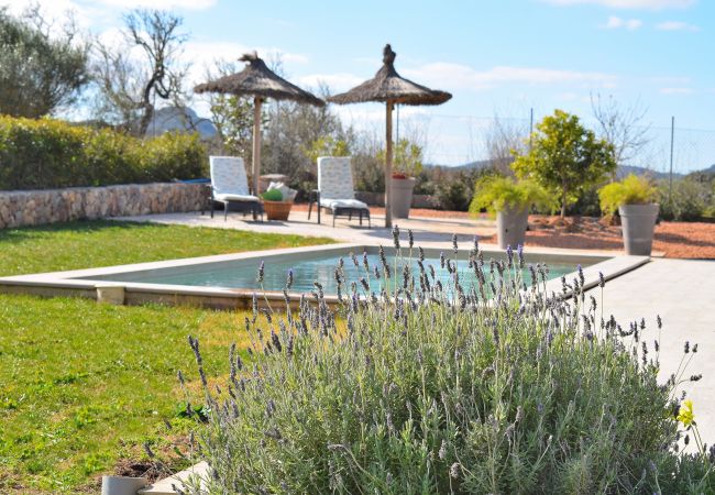 Domaine à Sineu - Son Alcaines Petit 249 Finca confortable avec piscine privée, terrasse, barbecue et WiFi