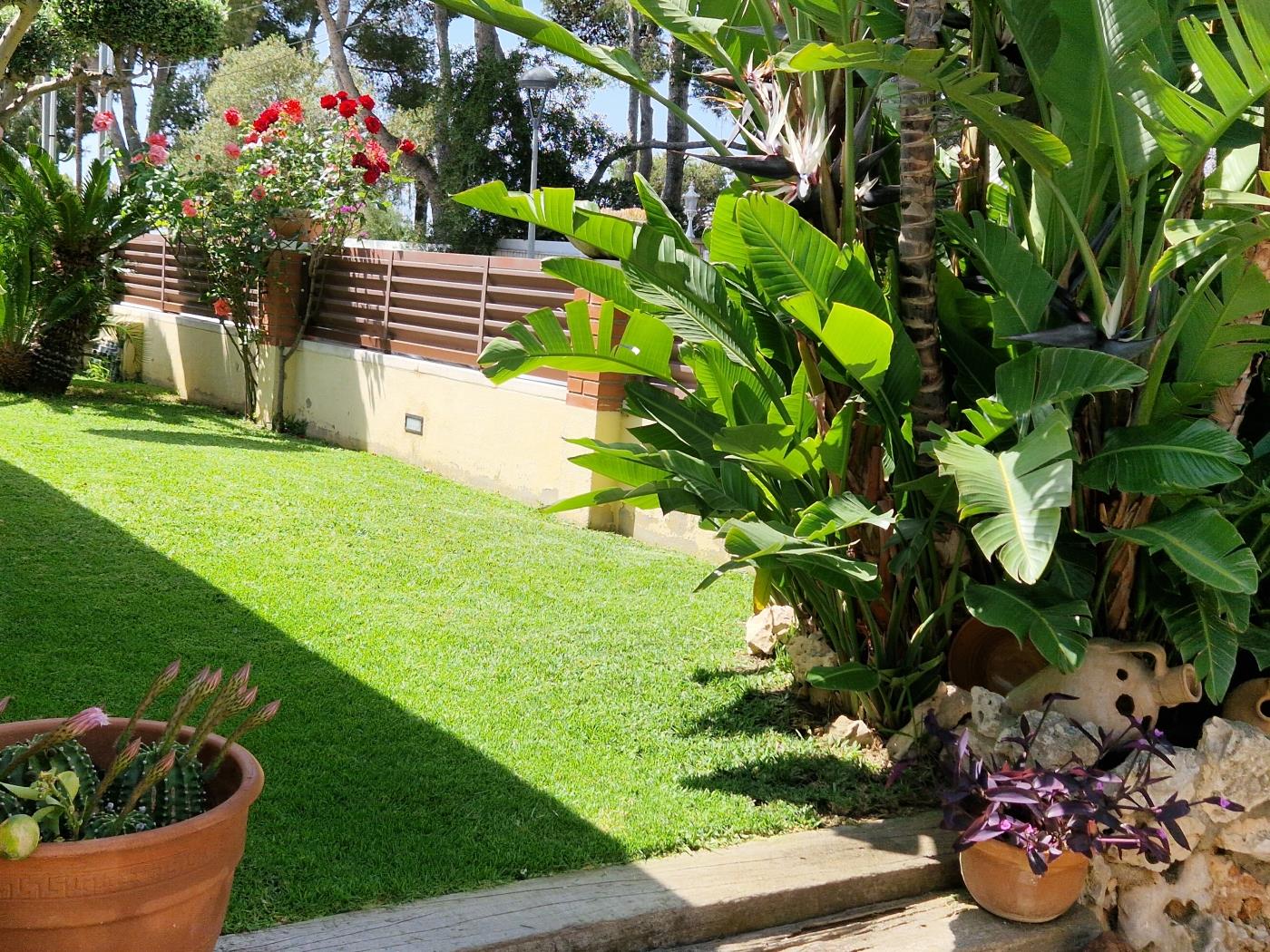image R88 Villa Vista Alegre 13