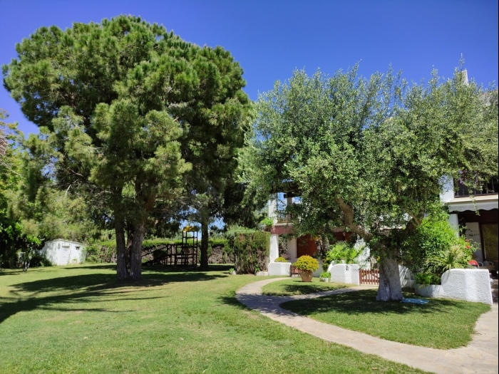 image R149 Casa Palmera Alorda 38