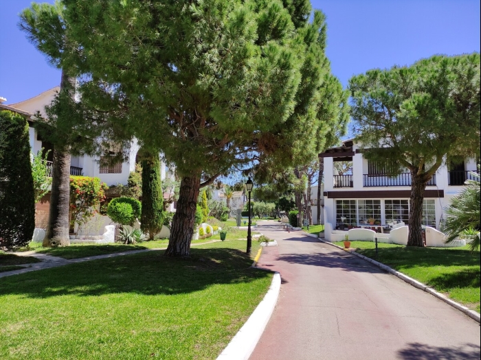 image R149 Casa Palmera Alorda 40