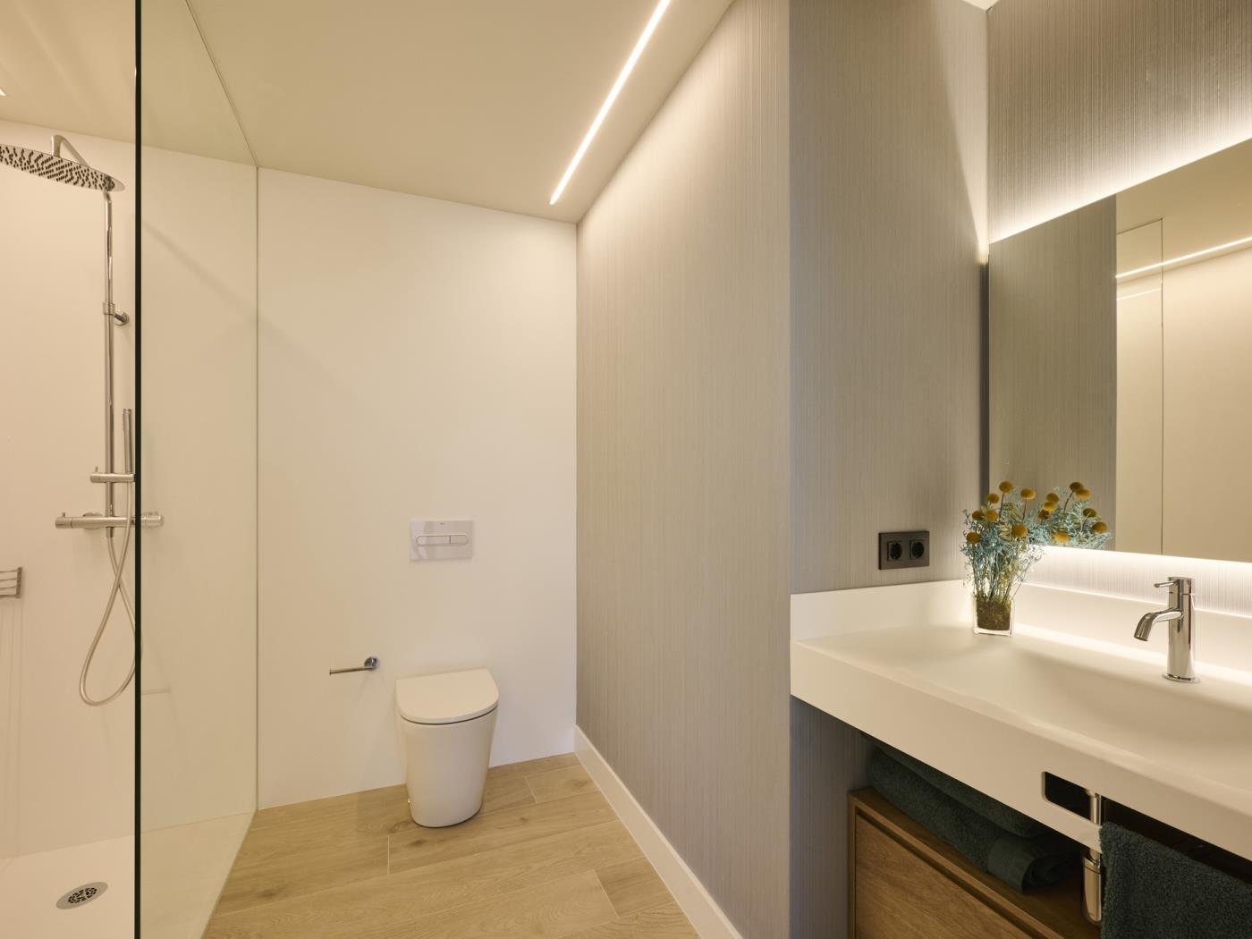 image TH20 Gran Apartamento Deluxe con terraza privada 10