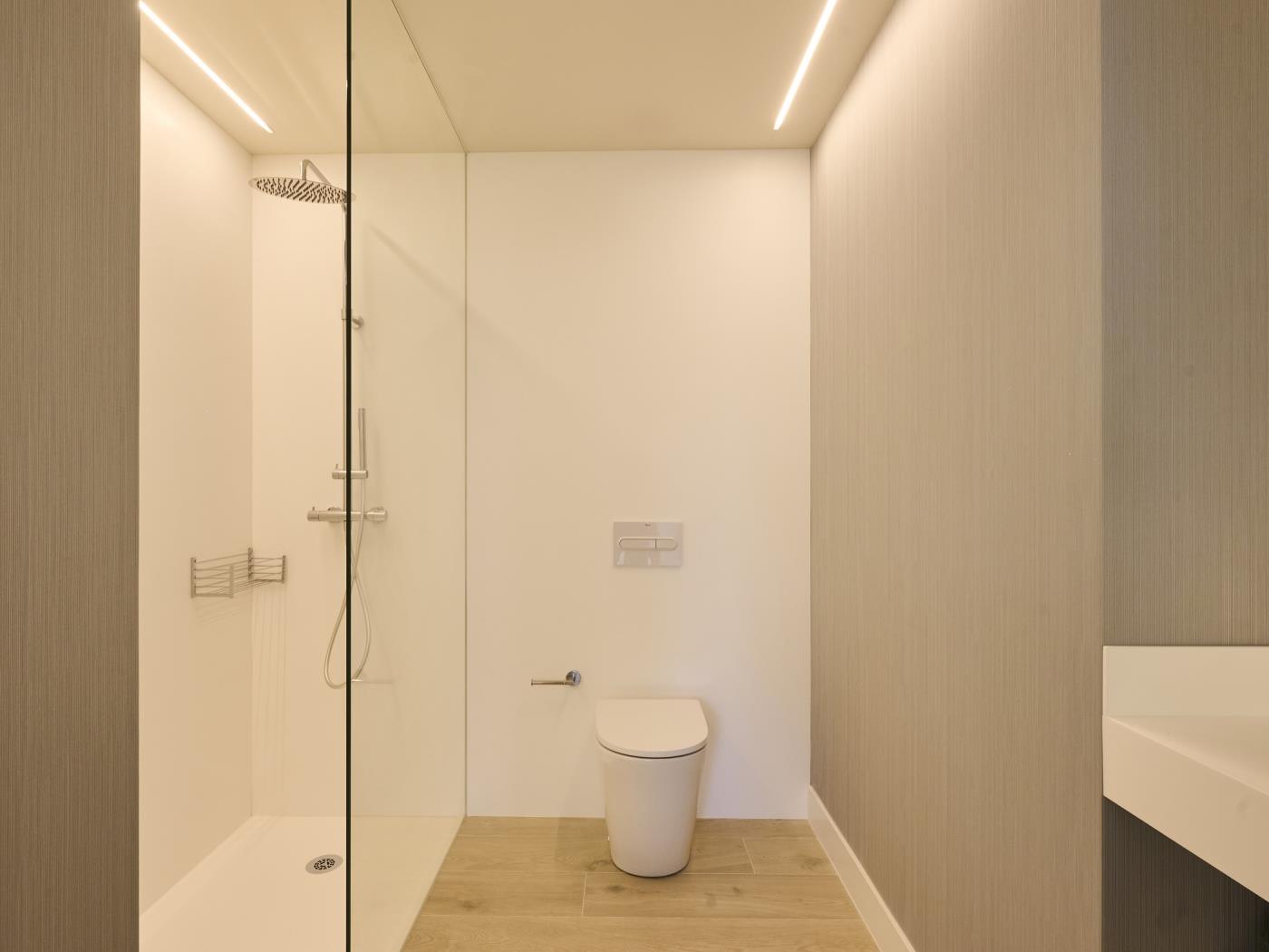 image TH20 Gran Apartamento Deluxe con terraza privada 9