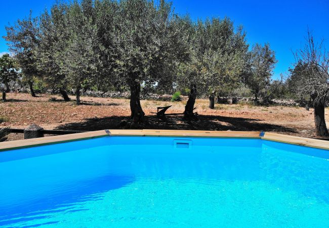 Особняк на Llubi - Son Rossignol 193 finca con piscina privada, gran terraza, barbacoa y WiFi