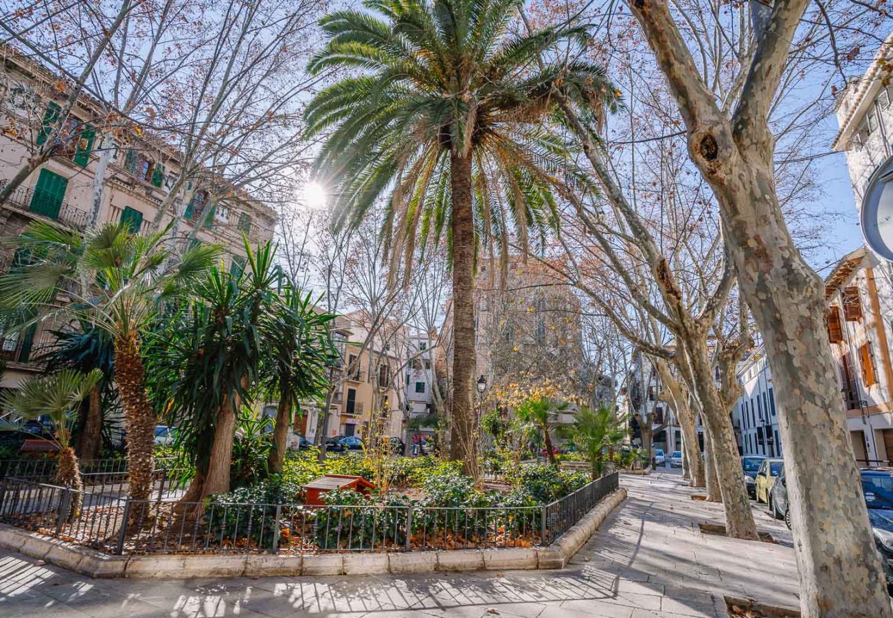 Апартаменты на Майорка / Palma de Mallorca - Vintage 7